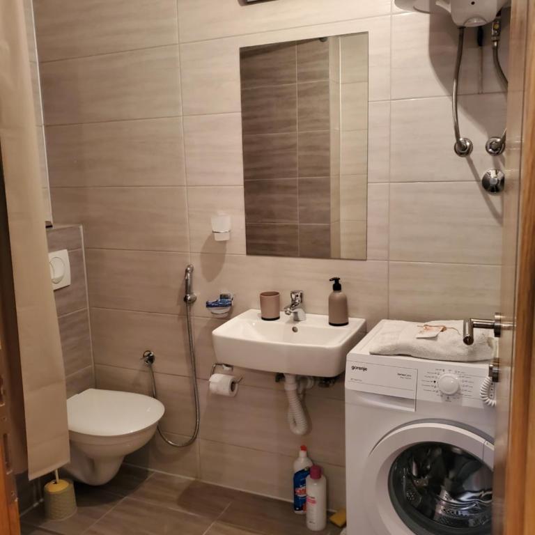 Sleep and drive premium - Apartman sa 1 Spavaćom Sobom - 12