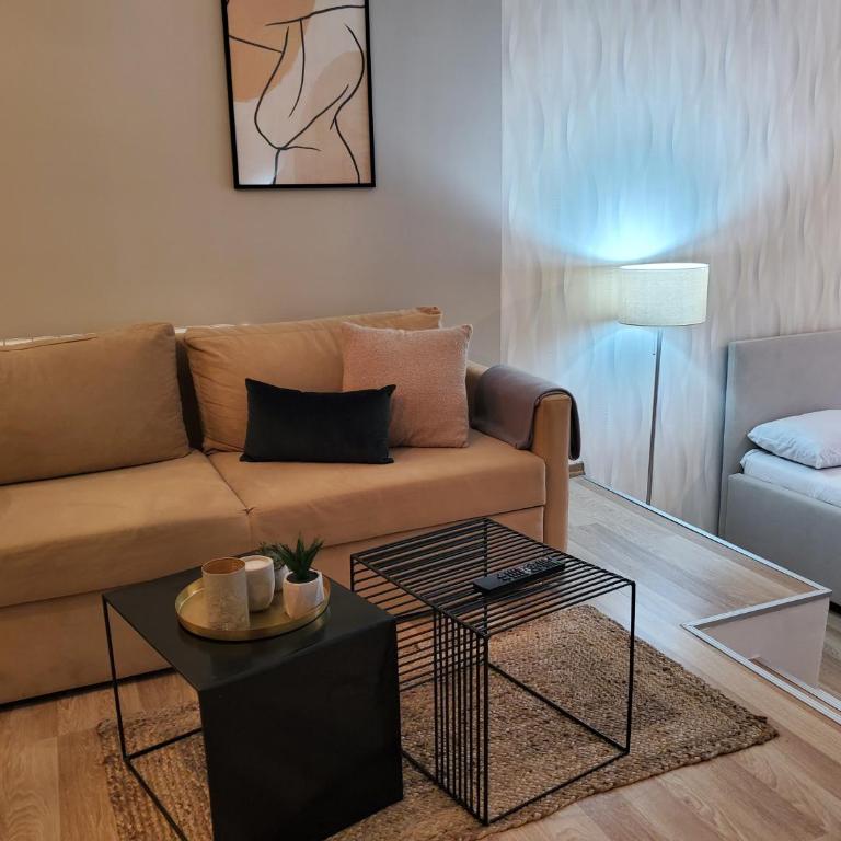 Sleep and drive premium - Apartman sa 1 Spavaćom Sobom - 17