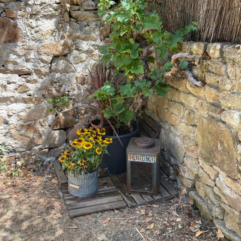 Le Patio, coeur de ville avec garage et jardin - Appartement 1 Chambre - 7