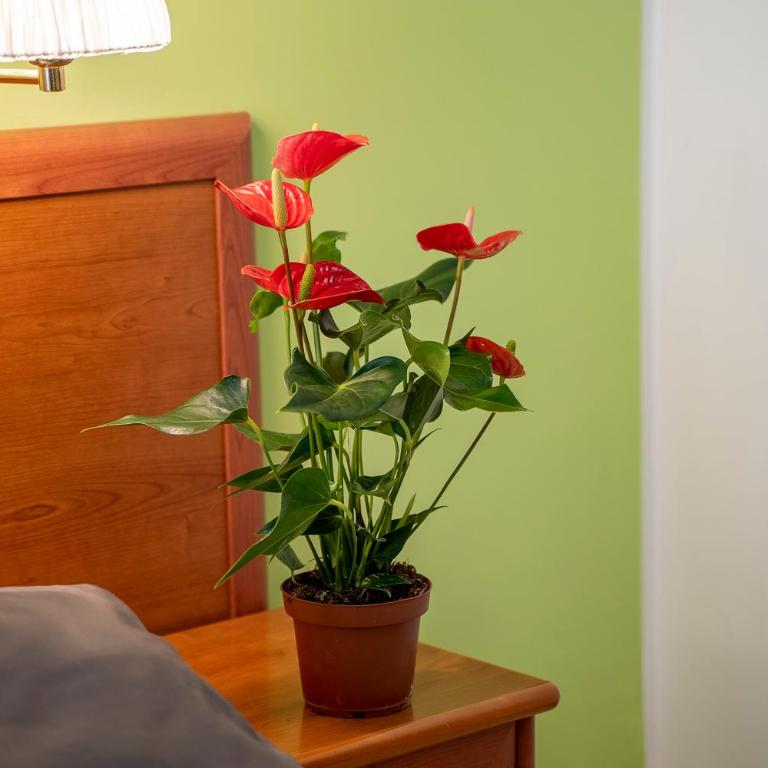 il passetto - Großes Doppel-/Zweibettzimmer - 1