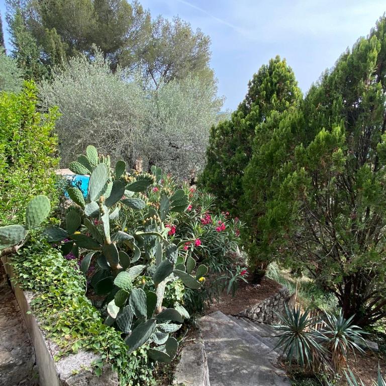 Entre Nice et Monaco grande Villa avec piscine privée 12 personnes - Villa - 36