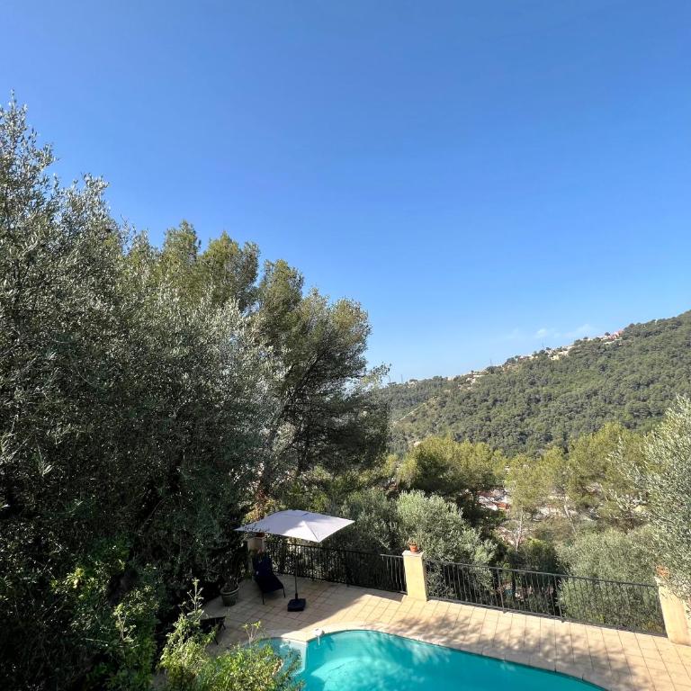 Entre Nice et Monaco grande Villa avec piscine privée 12 personnes - Villa - 23
