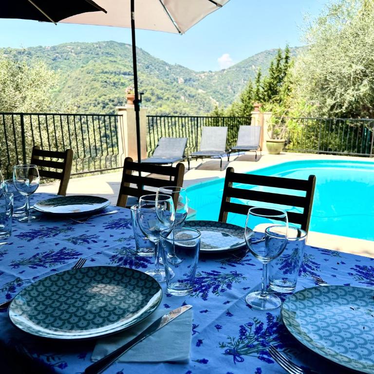 Entre Nice et Monaco grande Villa avec piscine privée 12 personnes - Villa - 21