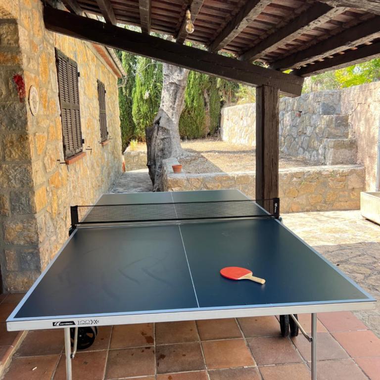 Entre Nice et Monaco grande Villa avec piscine privée 12 personnes - Villa - 35