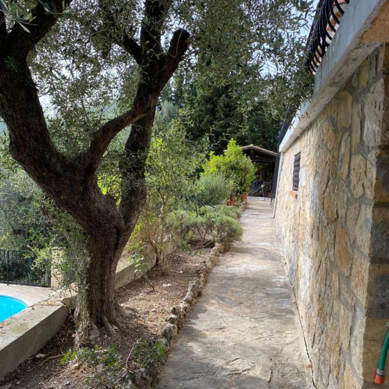Entre Nice et Monaco grande Villa avec piscine privée 12 personnes - Villa - 38