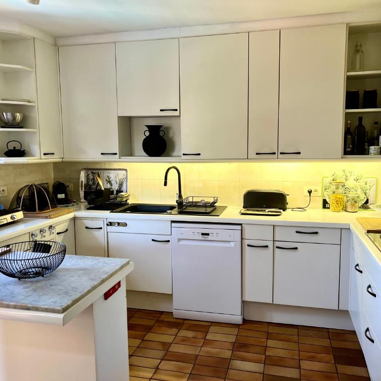 Entre Nice et Monaco grande Villa avec piscine privée 12 personnes - Villa - 42