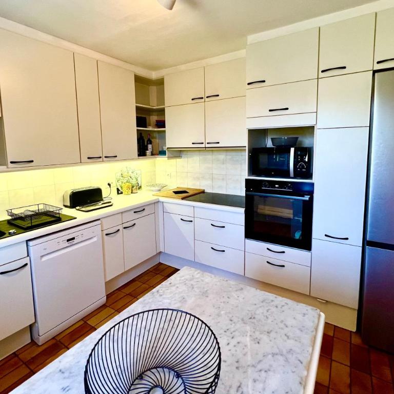 Entre Nice et Monaco grande Villa avec piscine privée 12 personnes - Villa - 41