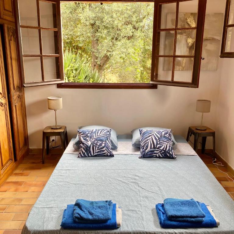 Entre Nice et Monaco grande Villa avec piscine privée 12 personnes - Villa - 47