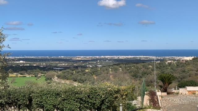 TerraCieloMare Apartments - Monolocale con Vista Mare - 8