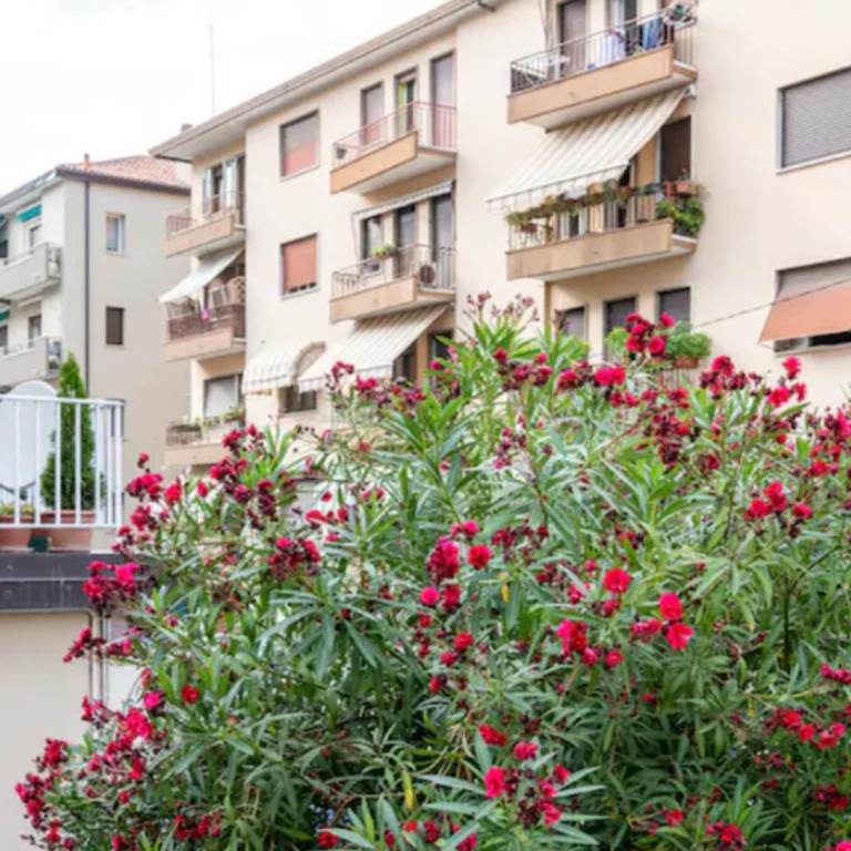 Monti Guesthouse - Camera Tripla con Bagno Privato - 17