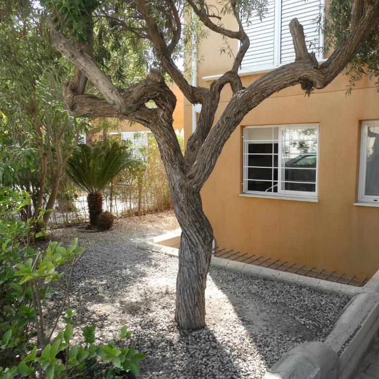 Bahía de les Bassetes - Three-Bedroom House - 21