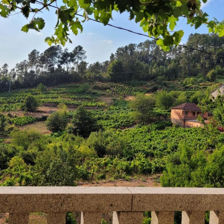 Casa do Cuco, Ribeira Sacra - Four-Bedroom House - 13