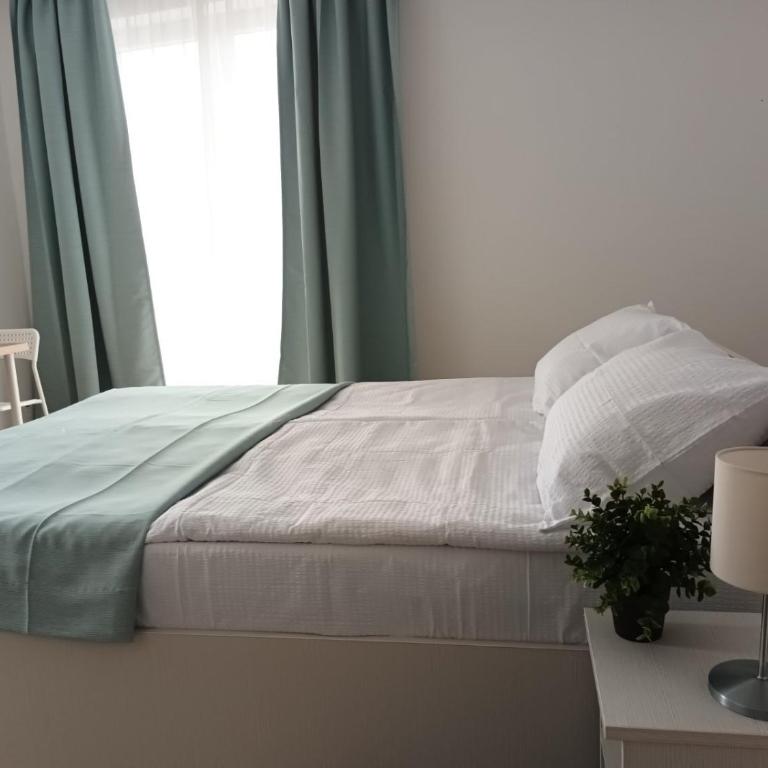 Milutinn-Trešnja - Apartman sa 1 Spavaćom Sobom - 14