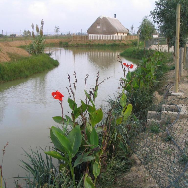 Barraca Gran - Six-Bedroom House - 31