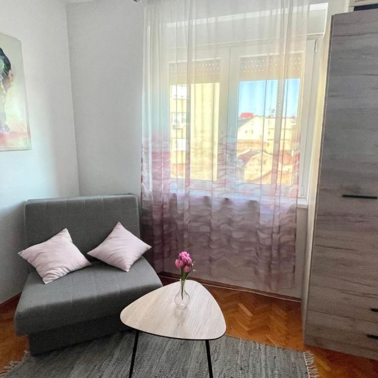 Downtown apartman T - Apartman sa 1 Spavaćom Sobom - 15
