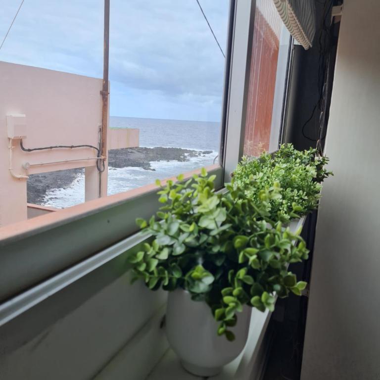 Apartamento La Barranquera - Apartamento de 2 dormitorios - 6