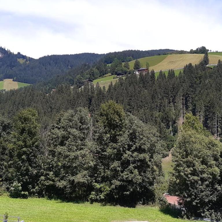 Haus Joachim, Wildschönau, Premiumcard im Sommer inklusive! - Apartment - 13