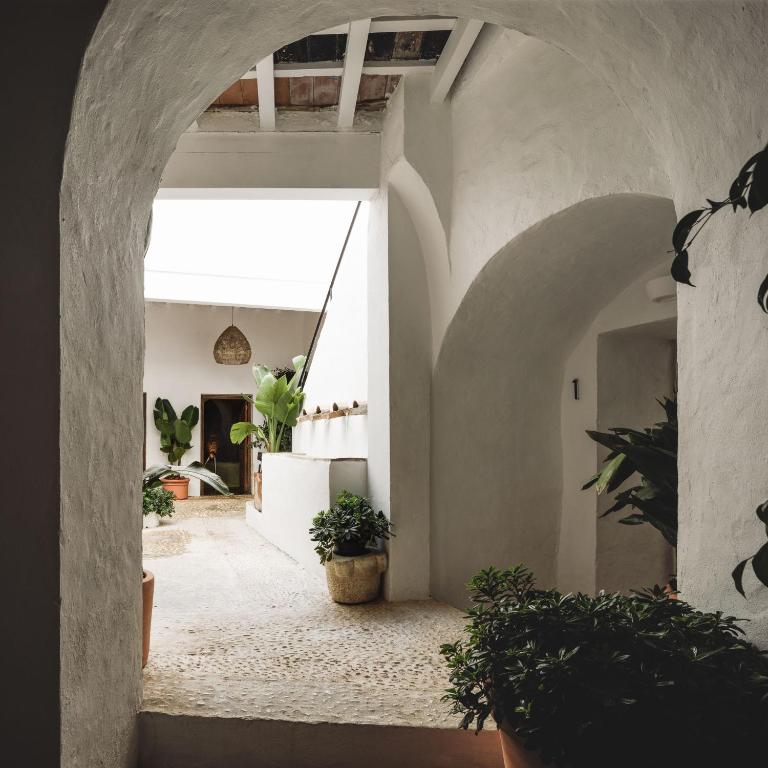 Casablanca Vejer Baño Termal - Estudio - 19