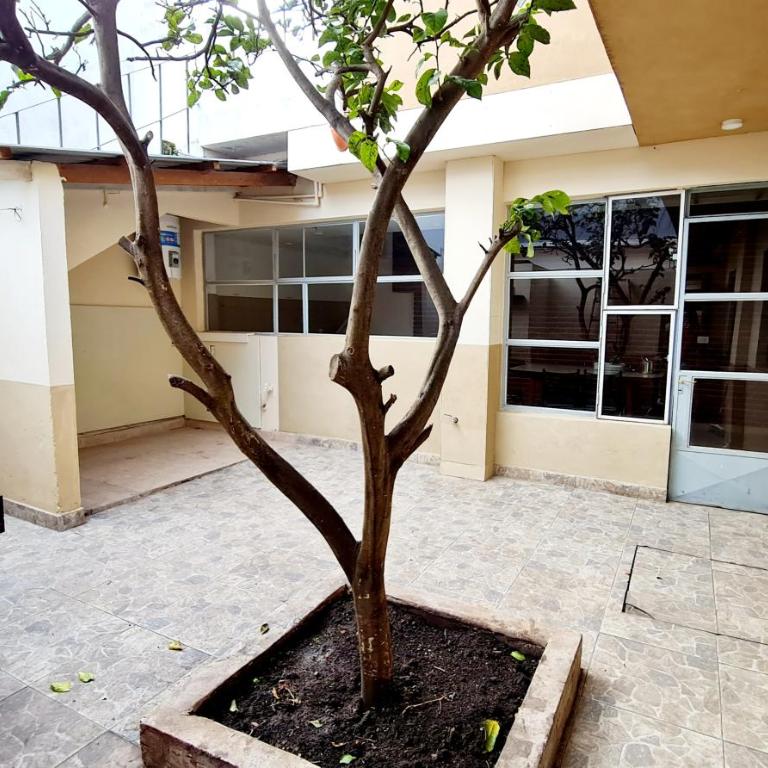 Hermosa casa PH equipada y con patio. Aestrenar - Casa de 2 dormitorios - 6