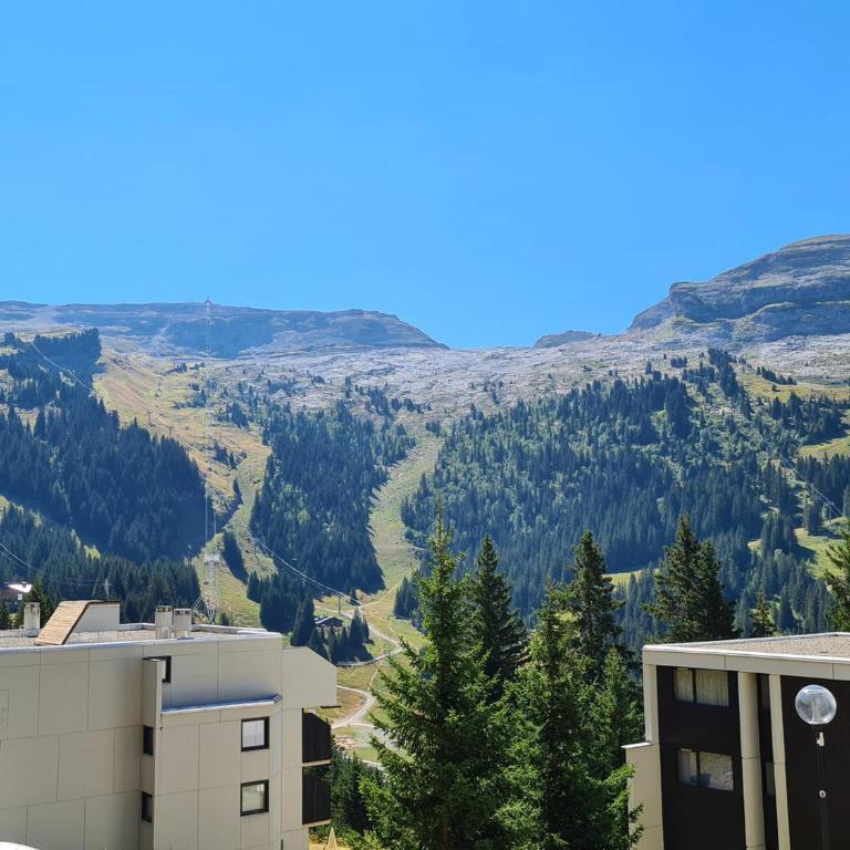Studio confortable à Flaine, balcon et proximité pistes - FR-1-425-180 - Studio - 2