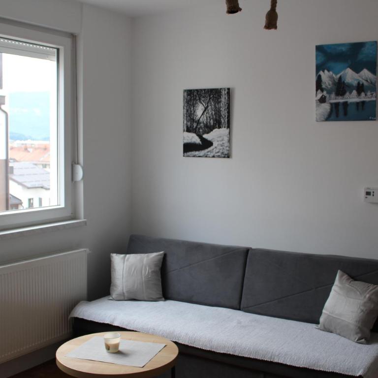 Apartman Srna Pale - One-Bedroom Apartment - 17
