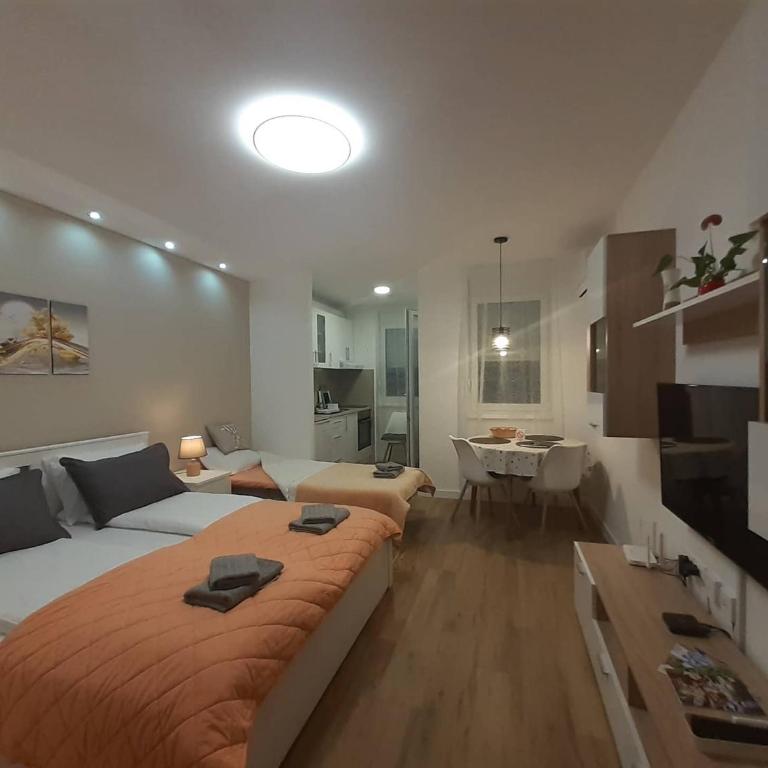 Apartments Biro - One-Bedroom Apartment - 42