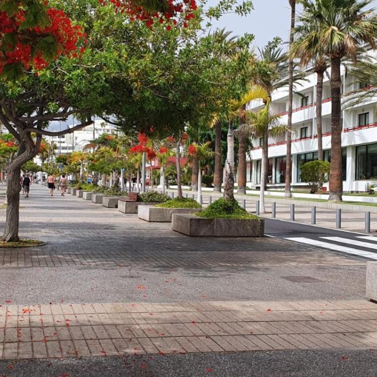 Playa de las Americas-Parque Santiago II - Apartamento de 1 dormitorio - 19
