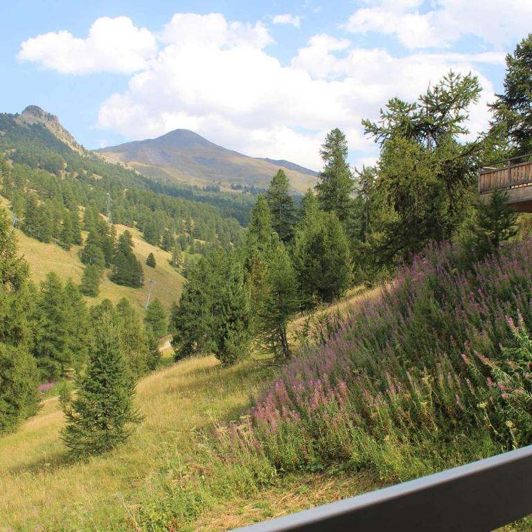 Studio Vars Les Claux, balcon, parking, 200m des pistes - FR-1-330B-197 - Appartamento - 14