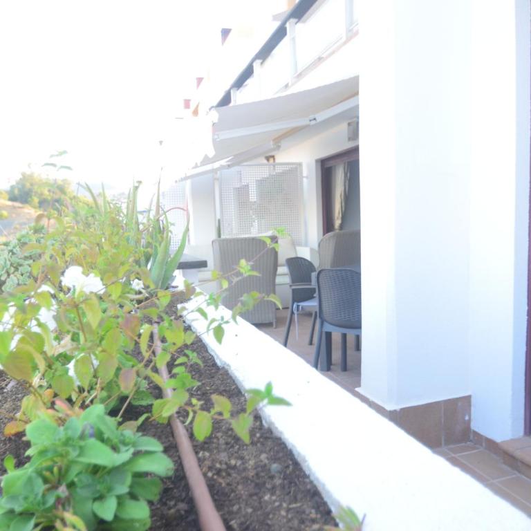 Parque Botanico Resort & Country Club - Apartamento de 1 dormitorio - 9