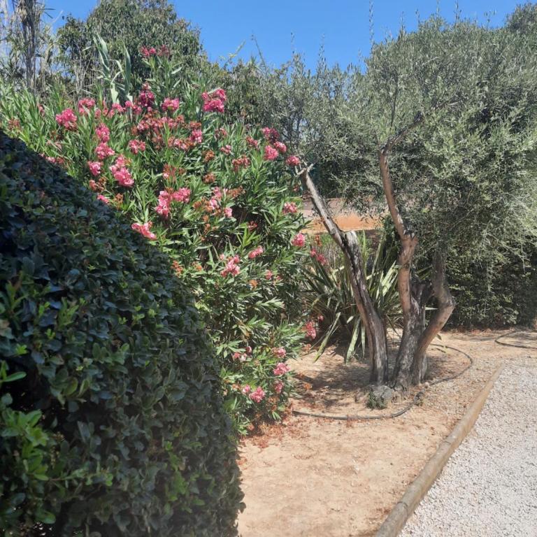 Les Galets de Sanary - Vue mer - Apartment mit 1 Schlafzimmer - 16