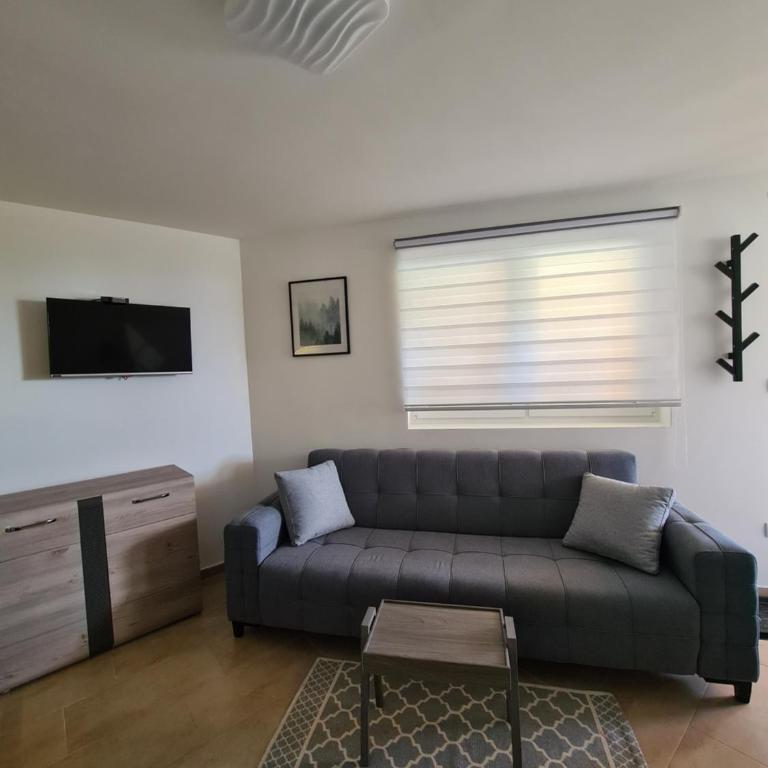 Studio MM Kopaonik - Apartman sa 1 Spavaćom Sobom - 2