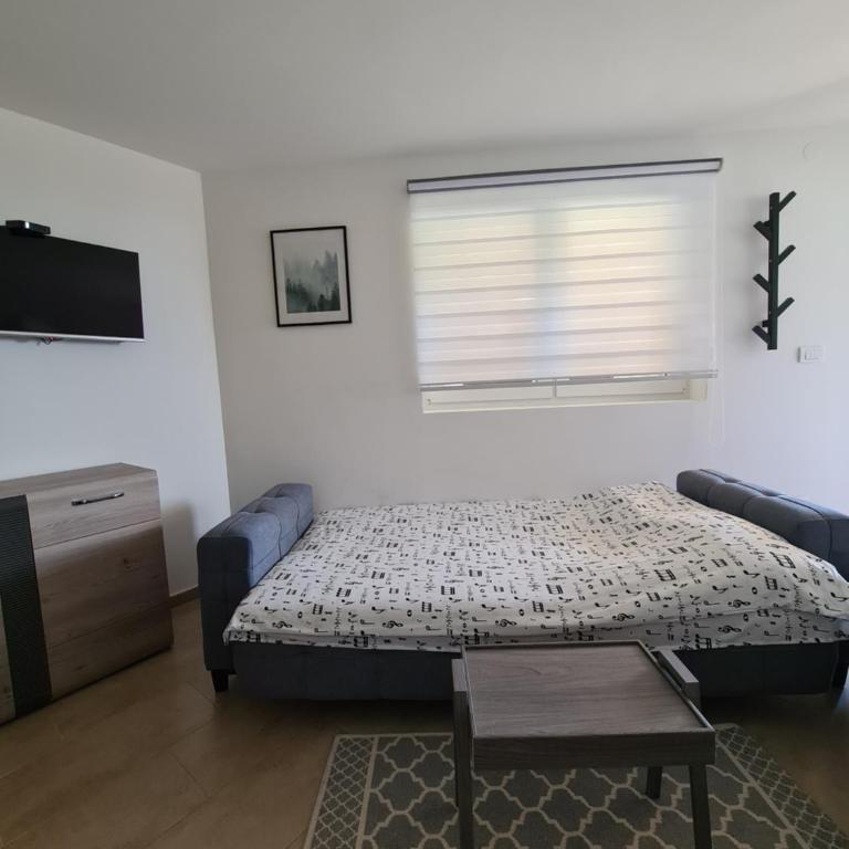 Studio MM Kopaonik - Apartman sa 1 Spavaćom Sobom - 5