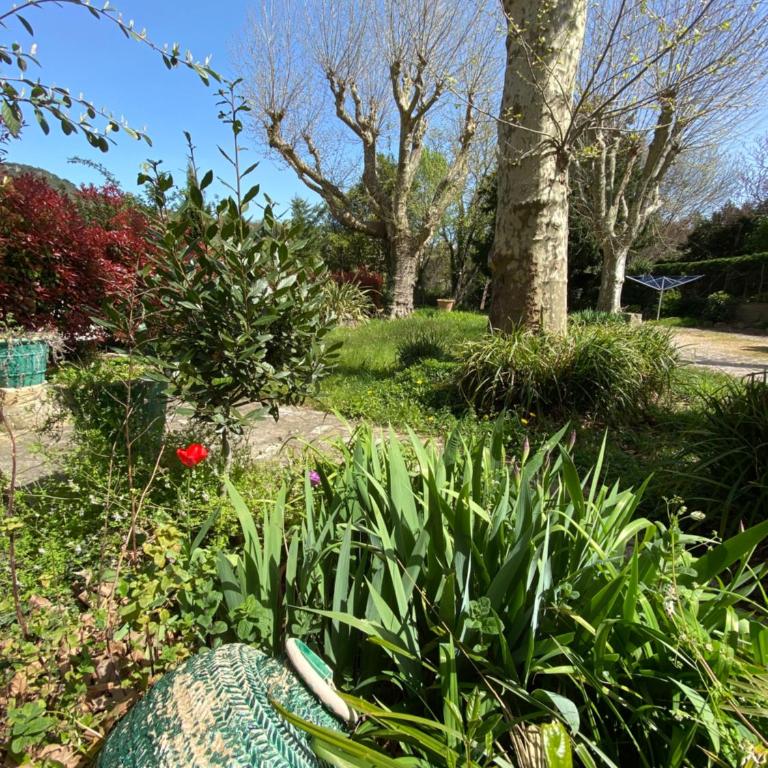 Les Platanes - Degas - Appartement 2 Chambres - 7