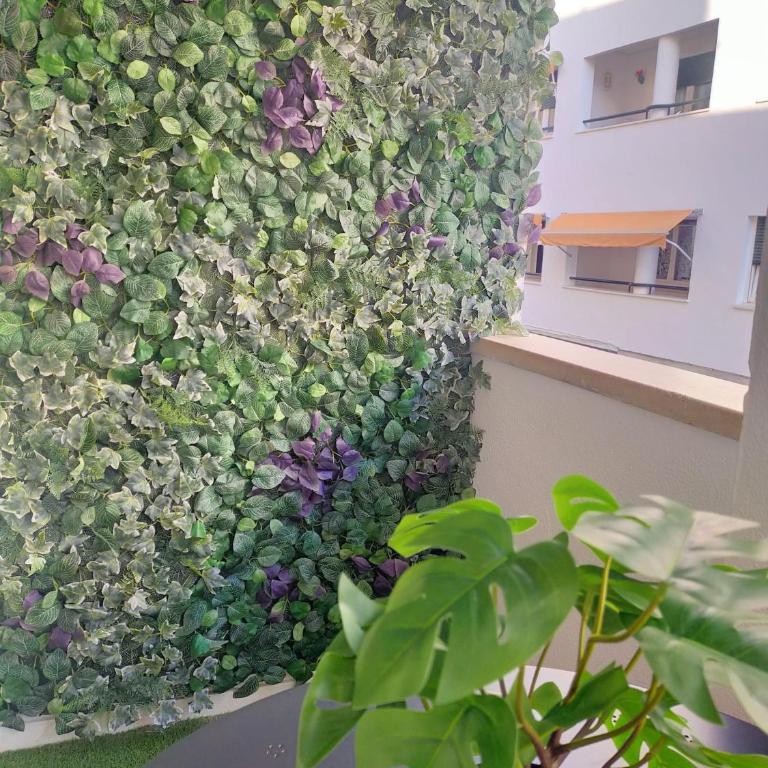 BASTINAZO ALOHADREAM - PREMIUM - La mejor ubicación con Aire Acondicionado, Insonorización, Terraza y Equipamiento en El Puerto de Santa María - Grupo de solo menores de 25 no aceptados salvo fianza adicional - Apartamento - 27