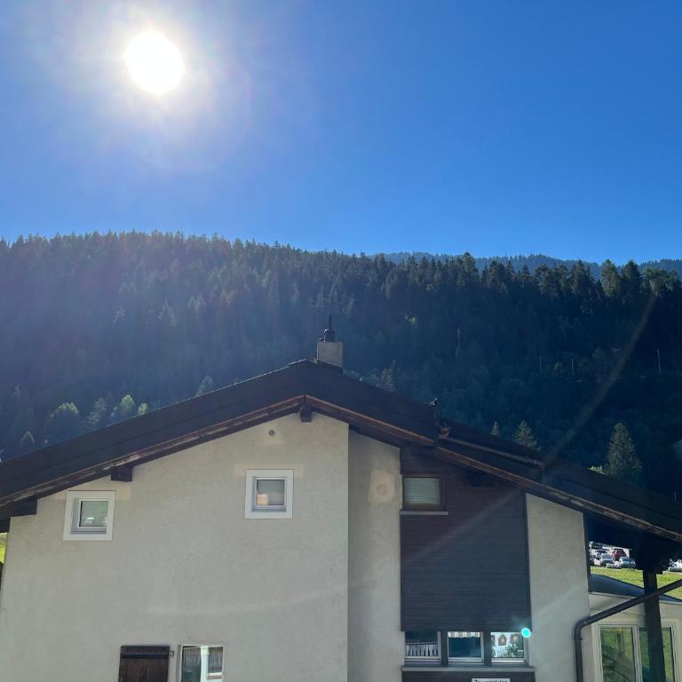 Ferienwohnung - 100m von der Talstation Aletsch Bahnen und Bahnhof Fiesch, BESTE Ausgangslage - Apartment - 32