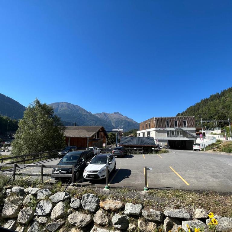 Ferienwohnung - 100m von der Talstation Aletsch Bahnen und Bahnhof Fiesch, BESTE Ausgangslage - Apartment - 30
