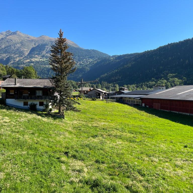 Ferienwohnung - 100m von der Talstation Aletsch Bahnen und Bahnhof Fiesch, BESTE Ausgangslage - Apartment - 12