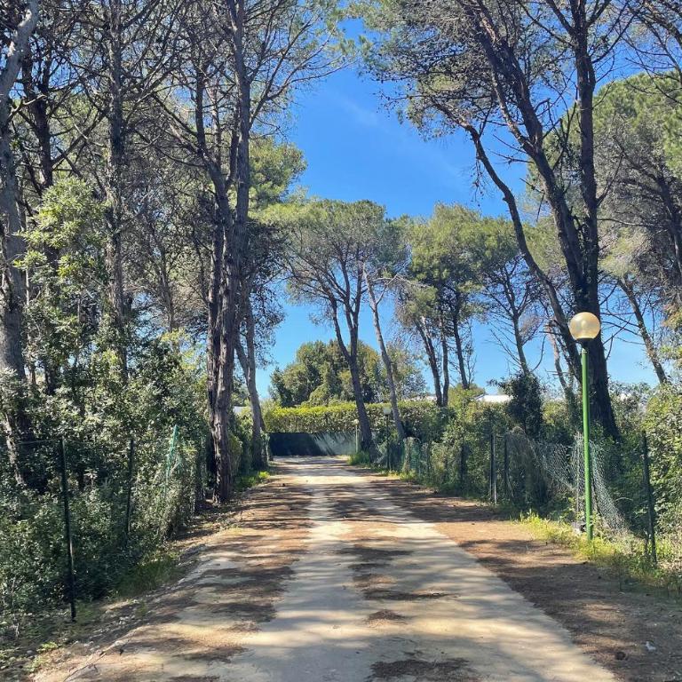 Stunning Home In Otranto With Wifi - Casa Vacanze con 3 Camere da Letto - 5