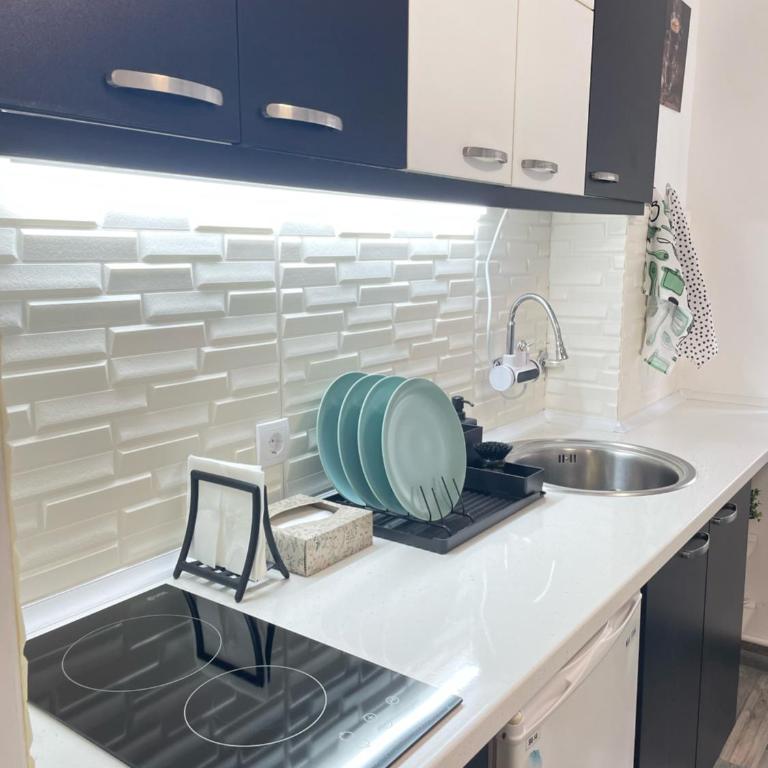 The Blue Velvet Apartment - Apartman sa 1 Spavaćom Sobom - 3