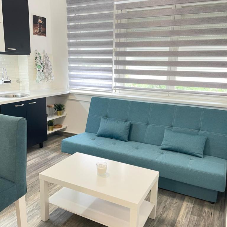 The Blue Velvet Apartment - Apartman sa 1 Spavaćom Sobom - 4