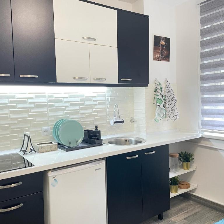 The Blue Velvet Apartment - Apartman sa 1 Spavaćom Sobom - 7