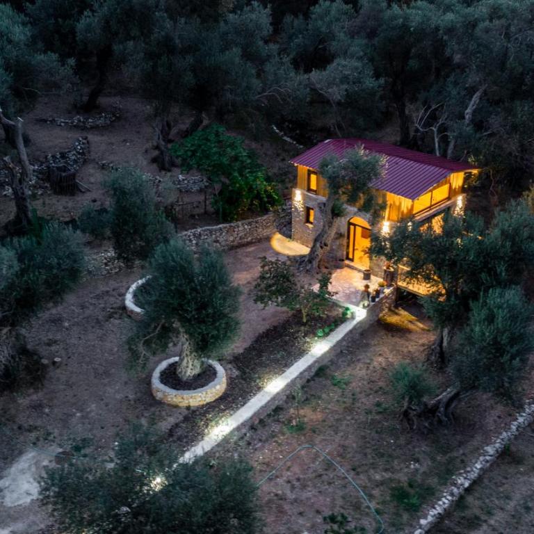 Olive Treasure - One-Bedroom Apartment - 2