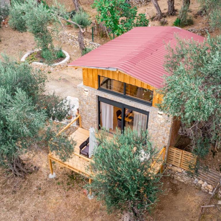 Olive Treasure - One-Bedroom Apartment - 7