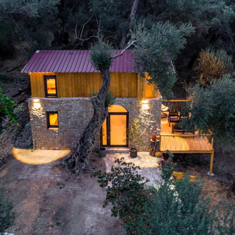 Olive Treasure - One-Bedroom Apartment - 6