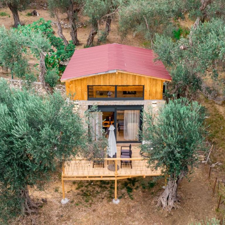 Olive Treasure - One-Bedroom Apartment - 8