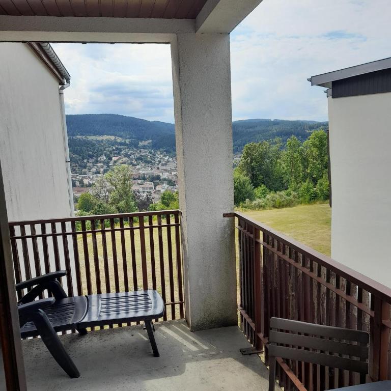 LES DRYADES Vue montagne - Studio Familial - 6