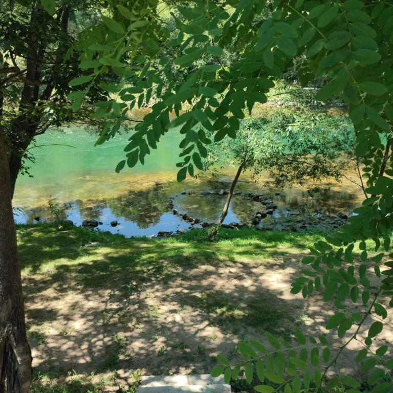 Apartmani Kajkut - Kuća sa 1 Spavaćom Sobom - 2