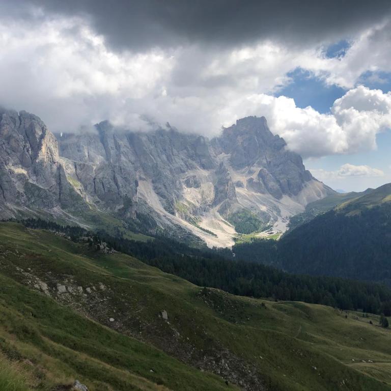 Paradise Dolomiti flat - Appartamento con 1 Camera da Letto - 12