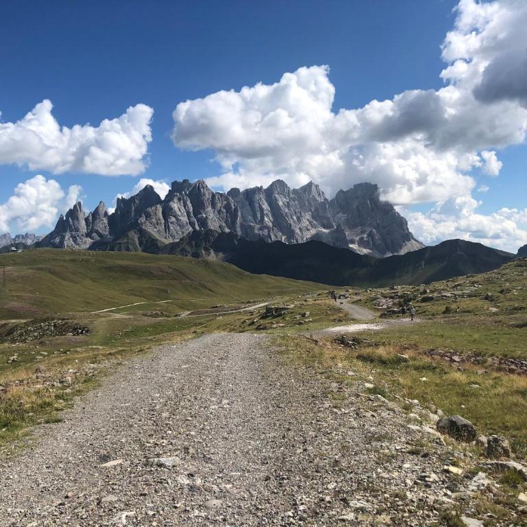 Paradise Dolomiti flat - Appartamento con 1 Camera da Letto - 15