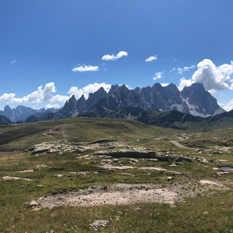 Paradise Dolomiti flat - Appartamento con 1 Camera da Letto - 11